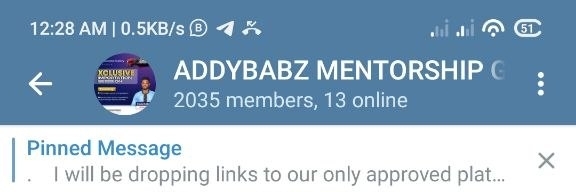 Telegram mentorship group — 2,035 members